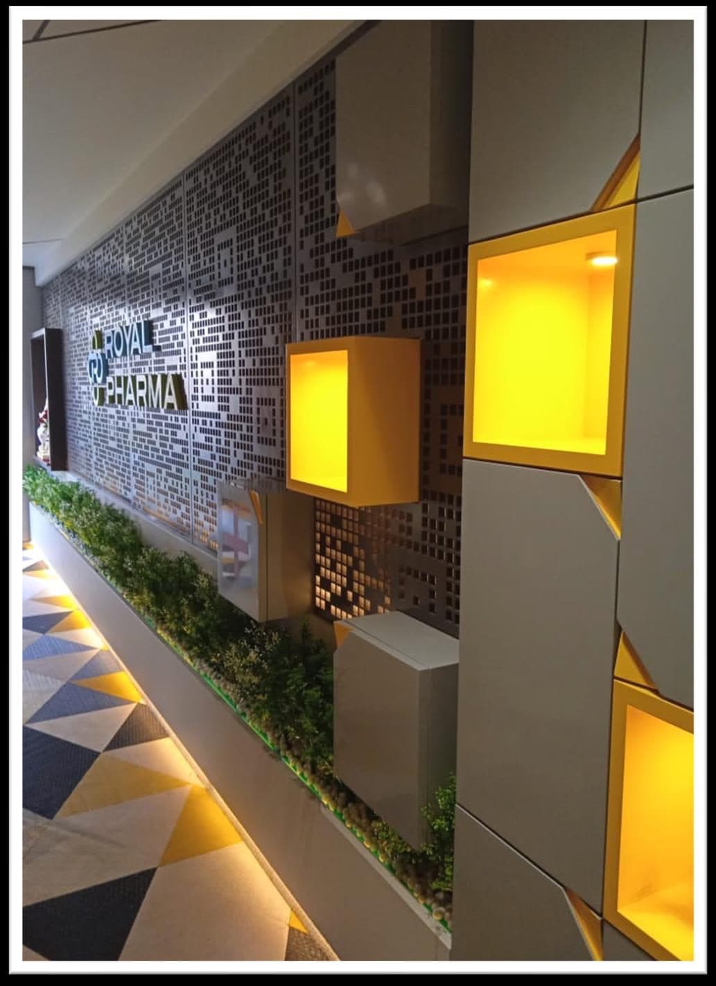 Feature wall and corridor at Royal Pharma, Jaipur